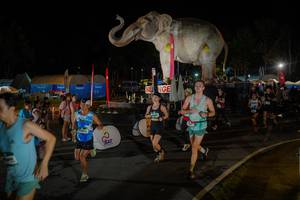 BIB: 
                            <button type="button" onclick="openModal(26552285)" class="btn btn-primary btn-sm float-right btn-popup" data-toggle="modal" data-target=".modal-high-quality">
                        <i class="fas fa-shopping-cart"></i> Add to Cart
                    </button>
                                            <button type="button" onclick="isThisMe(26552285, true)" class="btn btn-success btn-sm float-right btn-popup btn-isme hidden" data-toggle="tooltip" data-placement="bottom" title="นี่คือรูปของคุณใช่ไหม คลิกที่นี่เพื่อเอาเข้าอัลบั้ม">
                        <i class="fas fa-plus"></i> Add to album
                    </button>
                    <button type="button" onclick="isThisMe(26552285, false)" class="btn btn-warning btn-sm float-right btn-popup btn-isnotme hidden">
                        <i class="fas fa-ban"></i> Remove from album
                    </button>